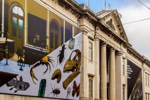 Museo Nacional de Historia Natural y de la Ciencia (MUHNAC) Museo Nacional de Historia Natural y de la Ciencia (MUHNAC)