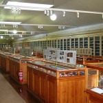 Imagen de la Sala de Paleontología y Estratigrafía del Museo Geológico, cedida a sieteLisboas.