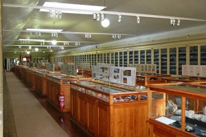 Museo Geológico (<em>Museu Geológico</em>)