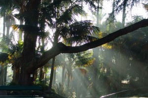 El Jardín Botánico de Lisboa