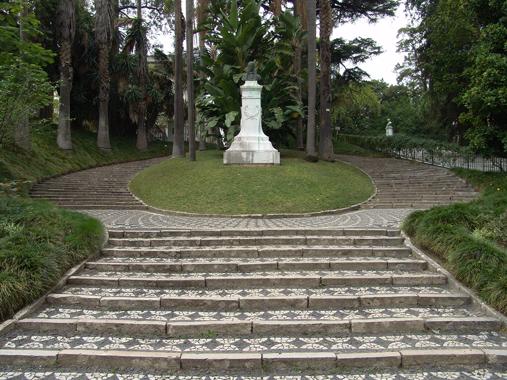 Fotografía del Jardín Botánico, tomada por José Cardoso, cedidad por el MUHNAC a sieteLisboas.