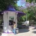 Fotografía del quiosco de la plaza de las Flores, cedida por Quiosques de Refrescos a sieteLisboas.