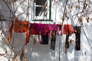 El Barrio de Alfama El Barrio de Alfama