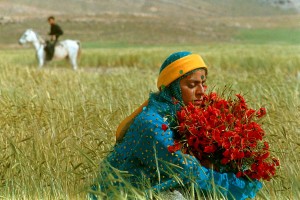 Noche temática sobre Irán –Centro InterCulturaCidade