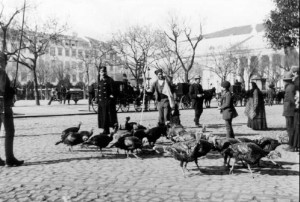 Literatura – Pasajes sobre Lisboa – Fabula Urbis Literatura – Pasajes sobre Lisboa – Fabula Urbis