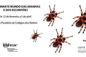 Exposición de Arañas y Escorpiones – Muhnac