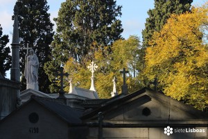 De paso por el Cementerio de los Placeres<em></em> De paso por el Cementerio de los Placeres<em></em>