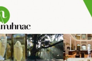 Día Internacional de los Museos – Museo Nacional de Historia Natural y de la Ciencia Día Internacional de los Museos – Museo Nacional de Historia Natural y de la Ciencia